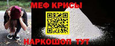 индика Кингисепп