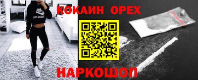индика Кингисепп