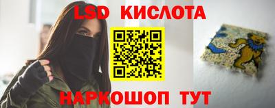 индика Кингисепп