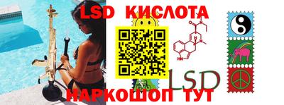 индика Кингисепп