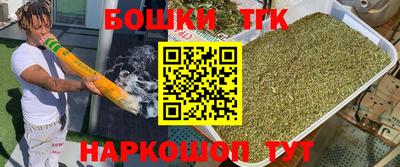 индика Кингисепп