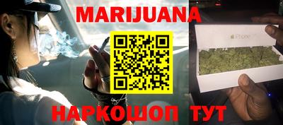 индика Кингисепп