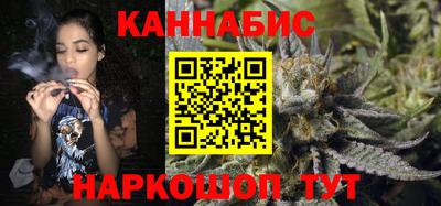 индика Кингисепп