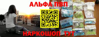 индика Кингисепп