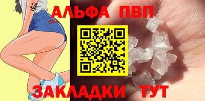 индика Кингисепп
