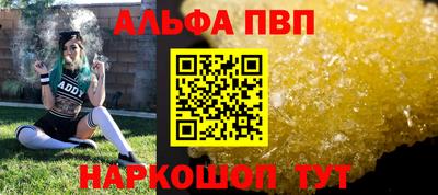 индика Кингисепп